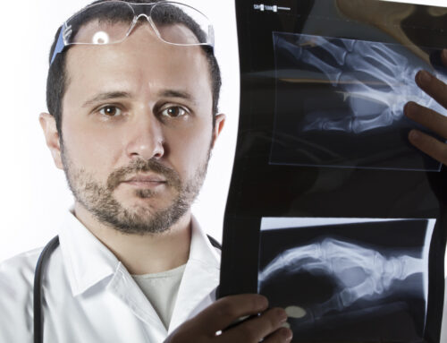 Travel Radiology: Steps to Becoming a Travel Tech